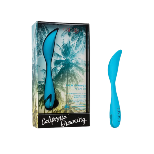 Palm Springs Pleaser