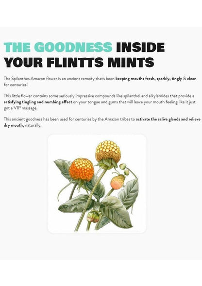 Flint Mints