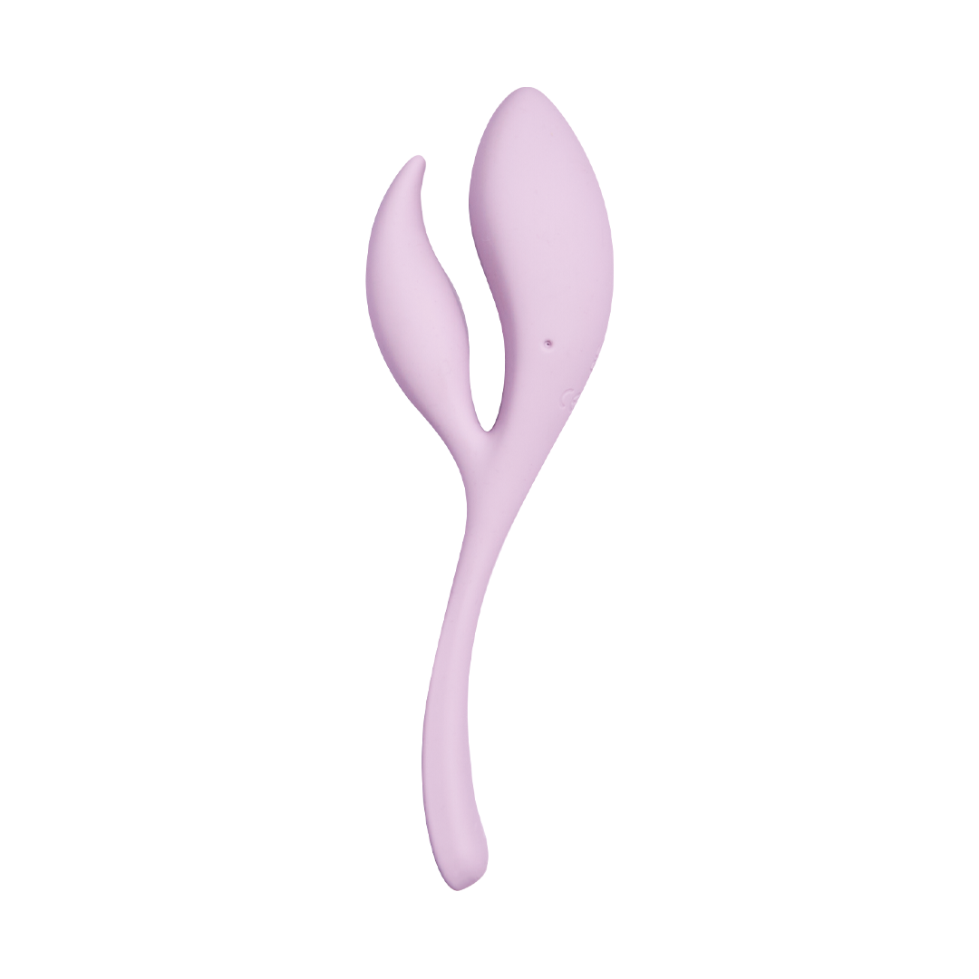 rabbit vibrator, g-spot vibrator, dual stimulation toy